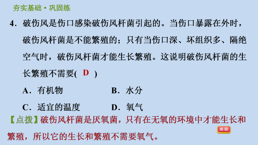 细菌和真菌的繁殖习题（课件 ppt42张）