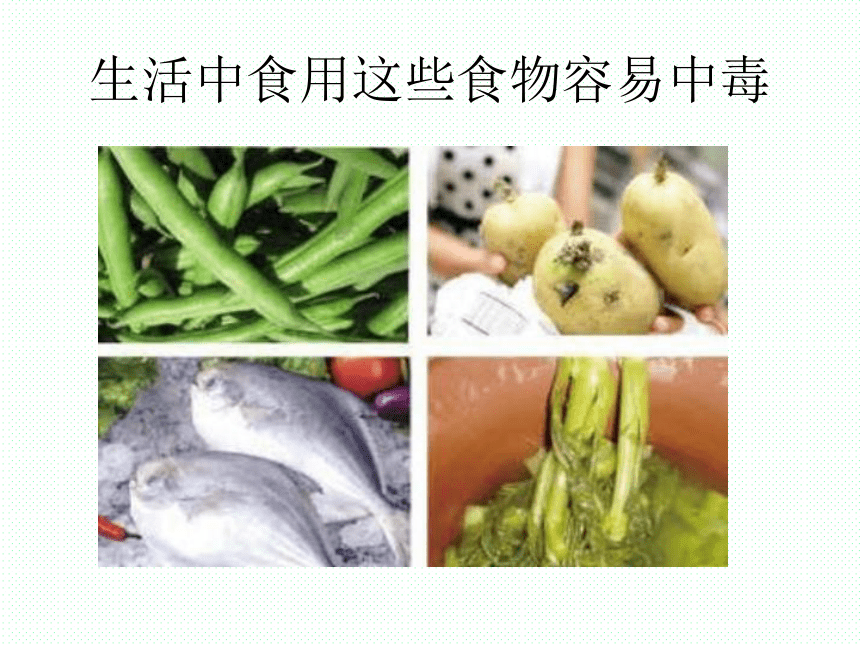 六年级上册科学课件-2.3饮食与健康-湘教版(共21张PPT)