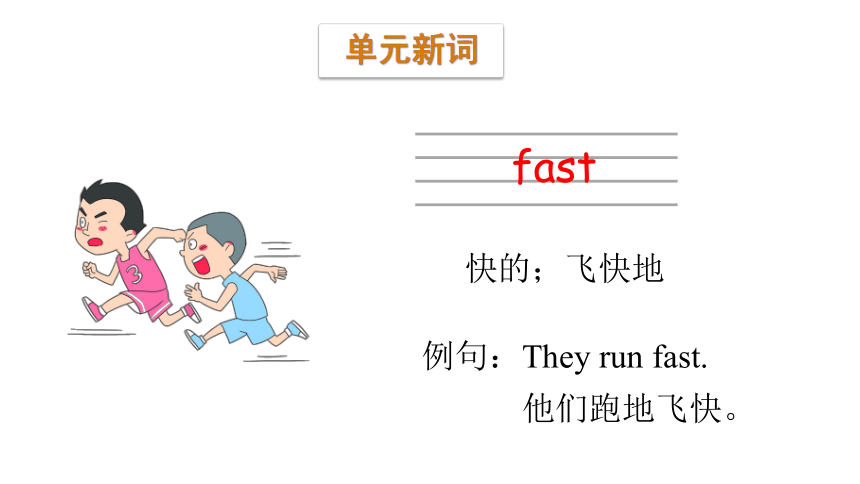 Unit 10  I am very fast 第一课时课件（21张PPT)