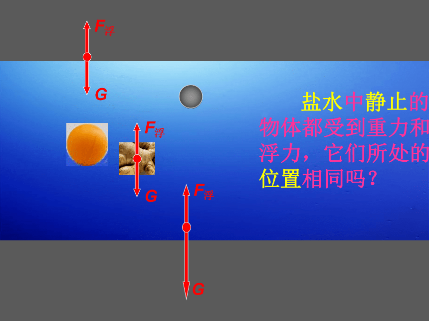 人教版物理八年级下册10.3-物体的浮沉条件及应用(共50张PPT)