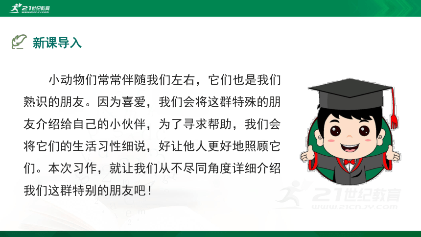 部编四下语文《习作：我的动物朋友》精品课件(共24PPT)