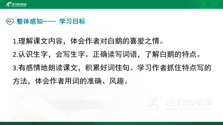 部编四下语文《15白鹅》精品课件(共22PPT)