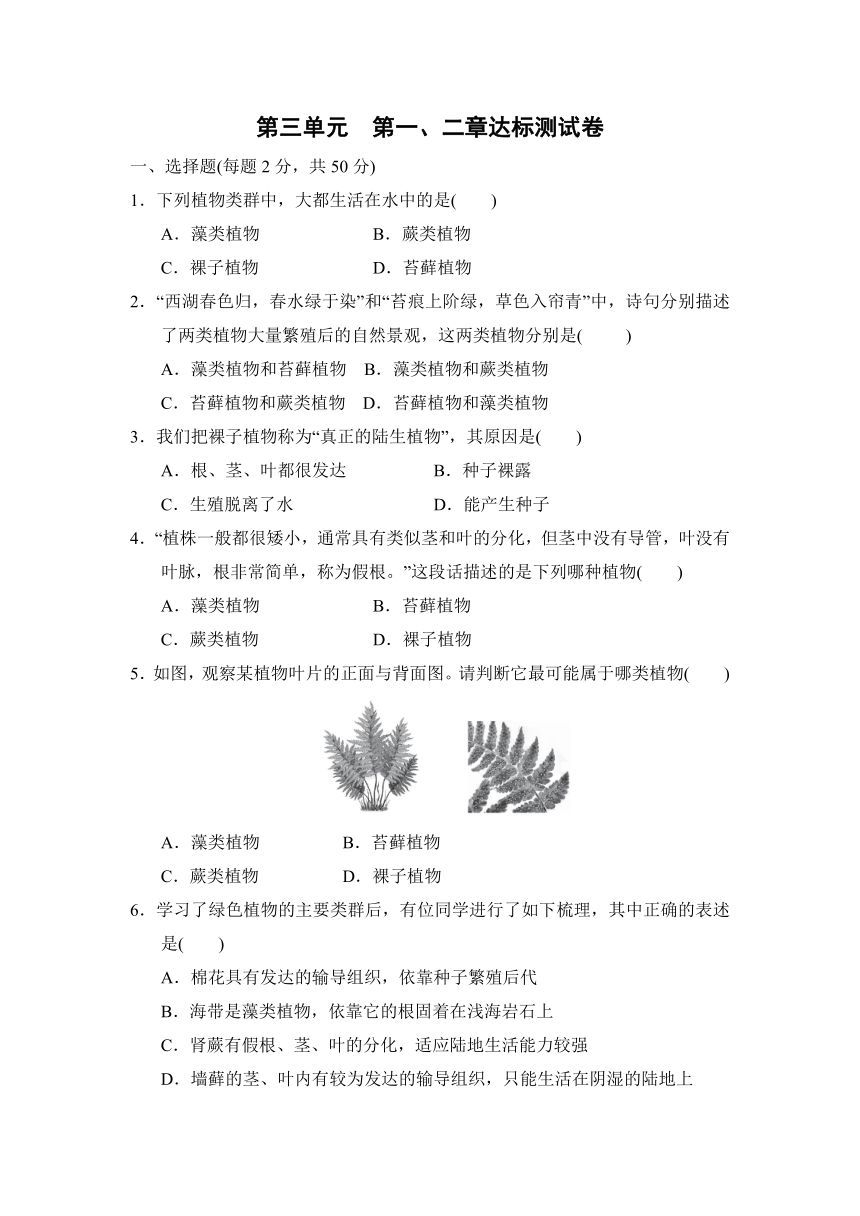 人教版七上生物第三单元 第一、二章达标测试卷（含答案）