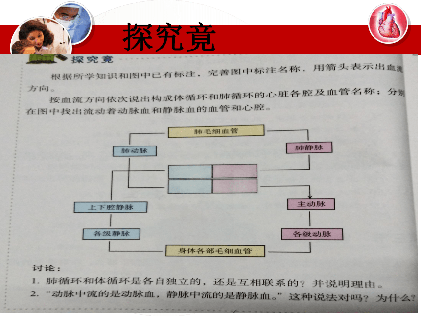 冀教版七年级下册第二单元第二章 第三节 物质运输的路线 课件（共22张PPT）