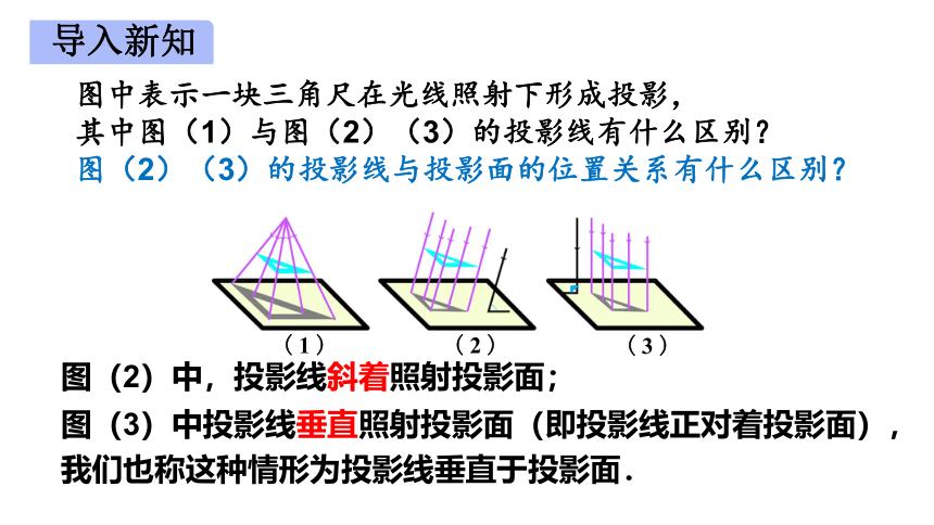人教版数学九年级下册29.1 投影（第2课时 共25张PPT）