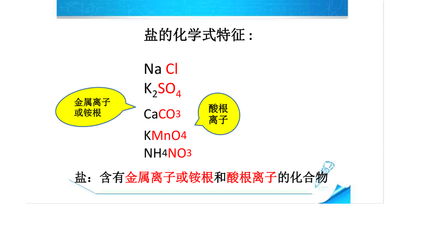 第一节几种常见的盐课件（17张PPT）