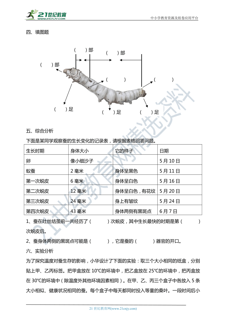 2.3蚕长大了 课时练习（含答案解析）