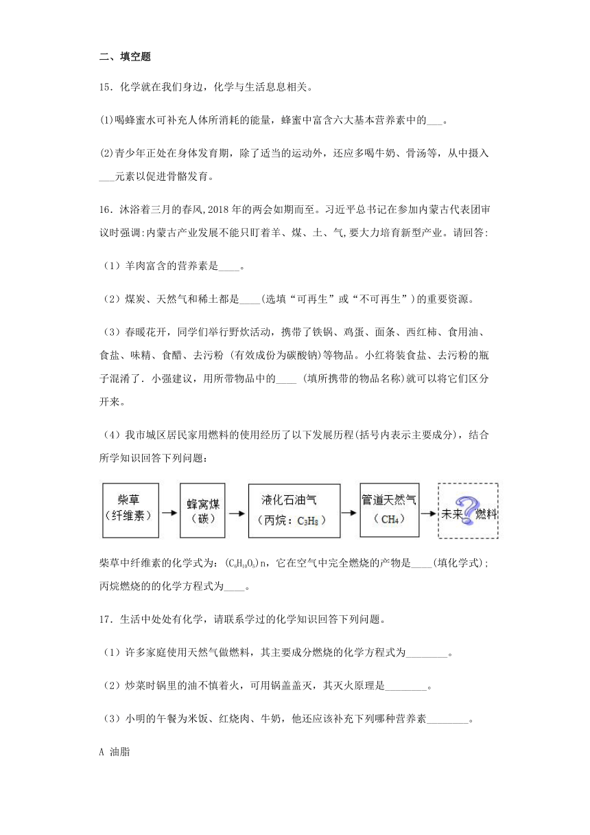 鲁教版化学九年级下册第十单元《化学与健康》测试题（含答案）