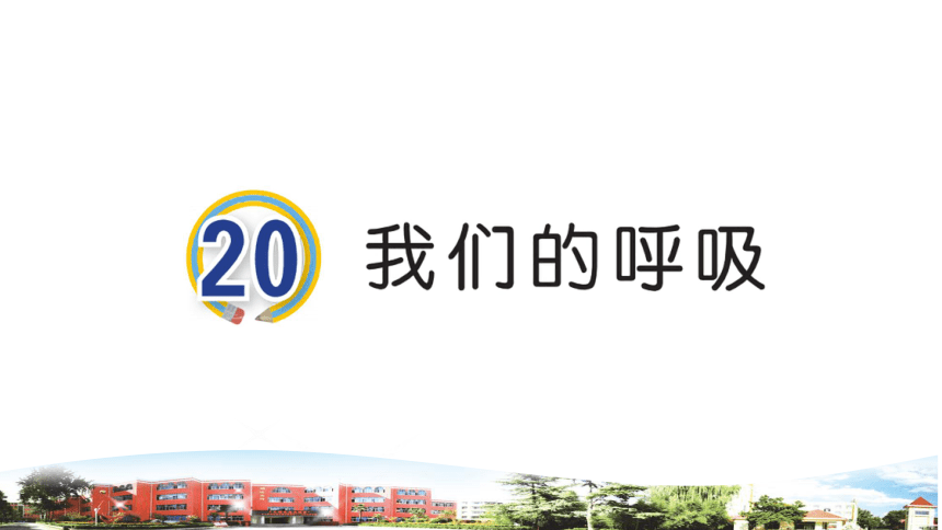 青岛版小学科学三年级下册20我们的呼吸教学课件（(共10张PPT)）