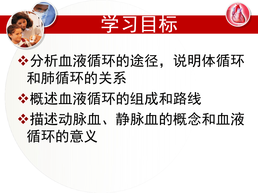 冀教版七年级下册第二单元第二章 第三节 物质运输的路线 课件（共22张PPT）