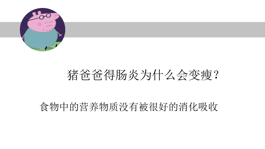 第三节 营养物质的吸收和利用 课件（22张PPT）