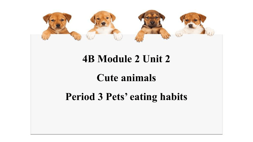 Module 2 Unit 2 Cute animals Period 3（Pets’ eating habits）课件（15张，内嵌音视频）