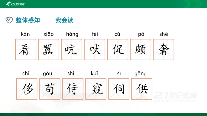 部编四下语文《15白鹅》精品课件(共22PPT)