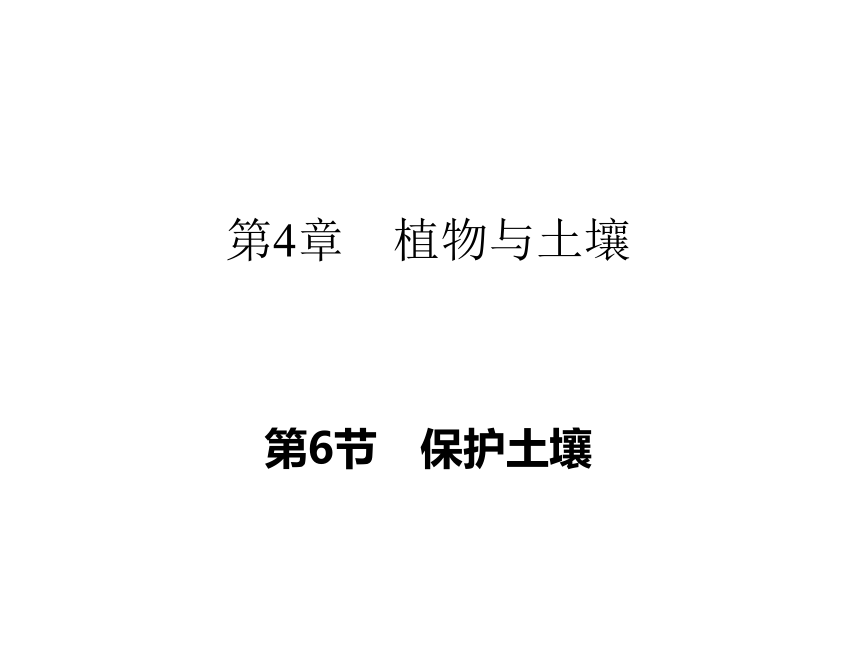 4.6 保护土壤 习题课件(共22张PPT)