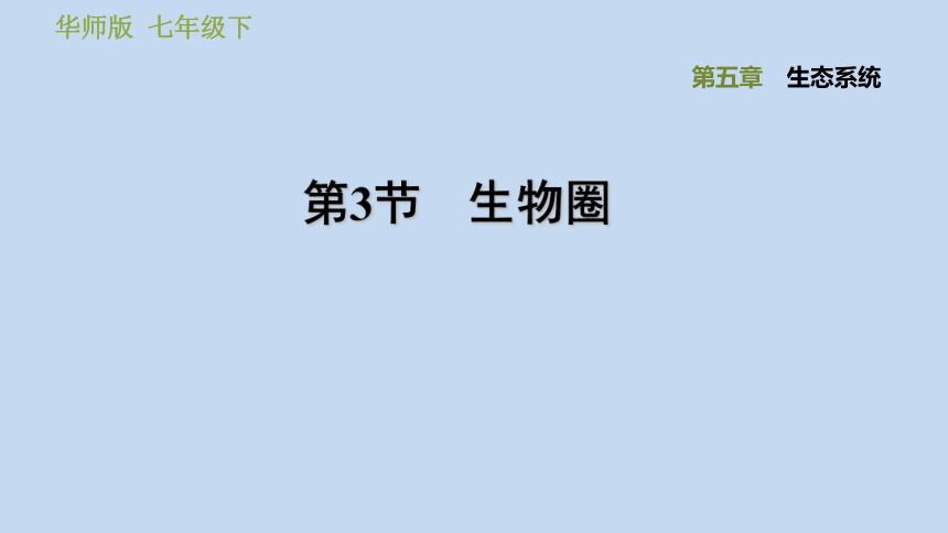 生物圈习题（课件 PPT19张）