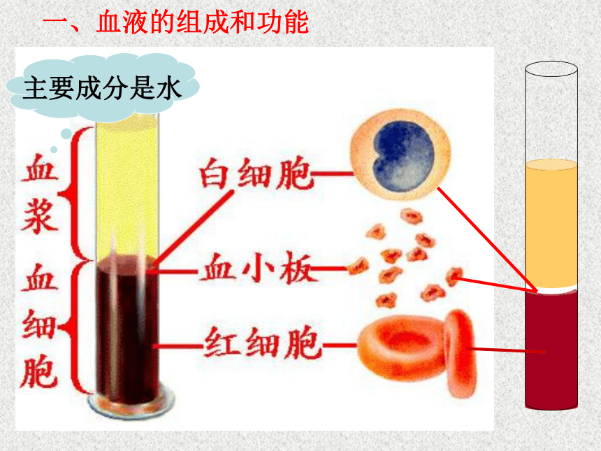 第一节 物质运输的载体 血液 课件（21张PPT）