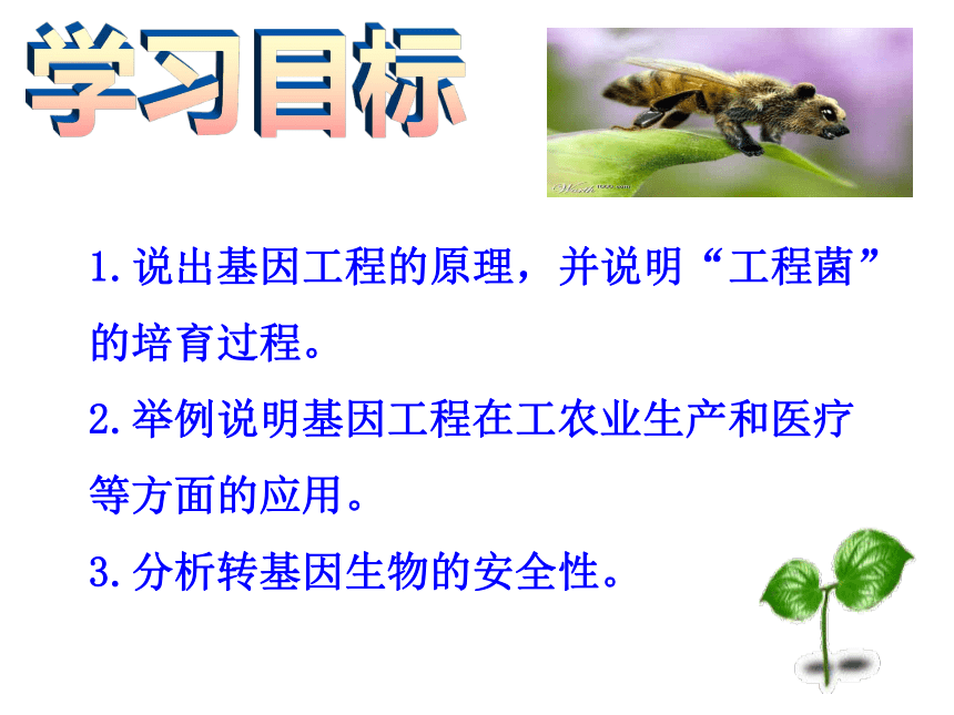 基因工程课件（(共35张PPT)）