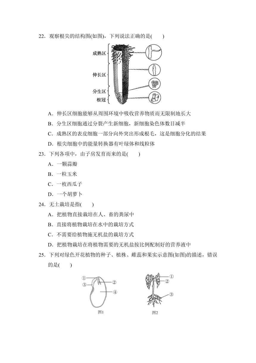 人教版七上生物第三单元 第一、二章达标测试卷（含答案）