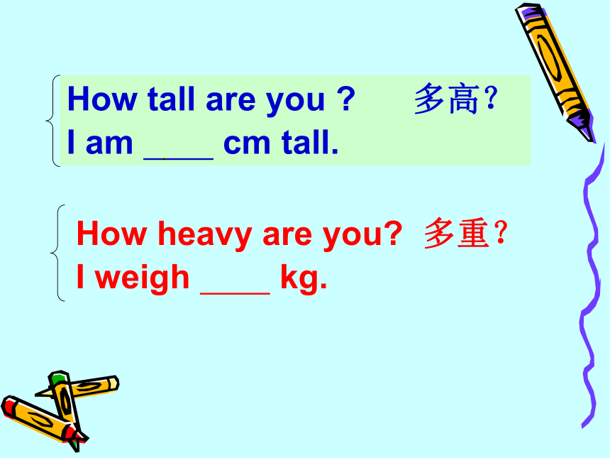 Unit 5 I’m taller than Mocky 课件 (共17张PPT)