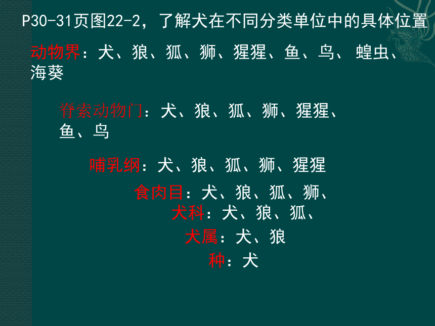 北师大版八下生物 22.1生物的分类 课件 (26张PPT)