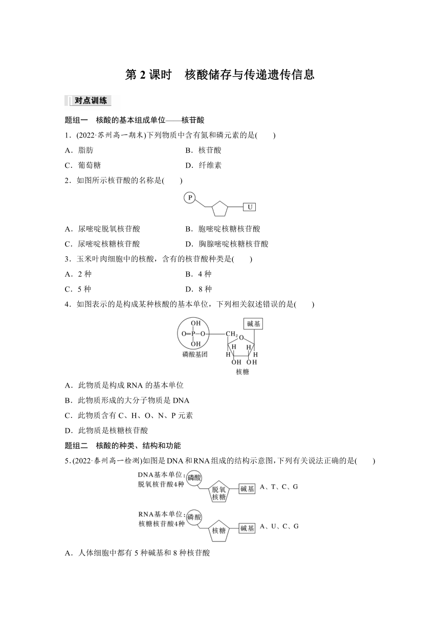 高中生物