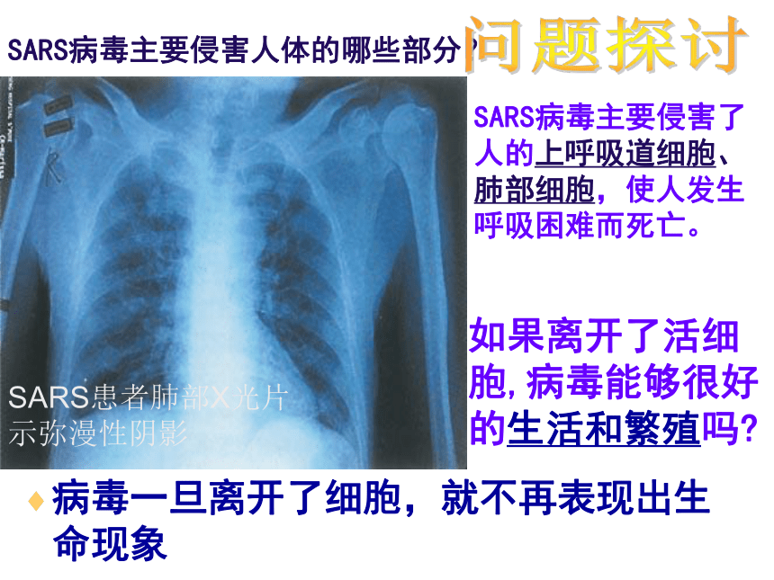 人教版高中生物必修一   1.1 从生物圈到细胞  课件(共33张PPT)