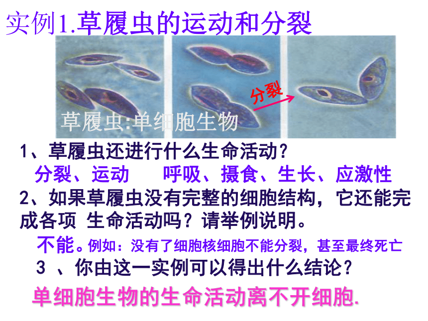 人教版高中生物必修一   1.1 从生物圈到细胞  课件(共33张PPT)