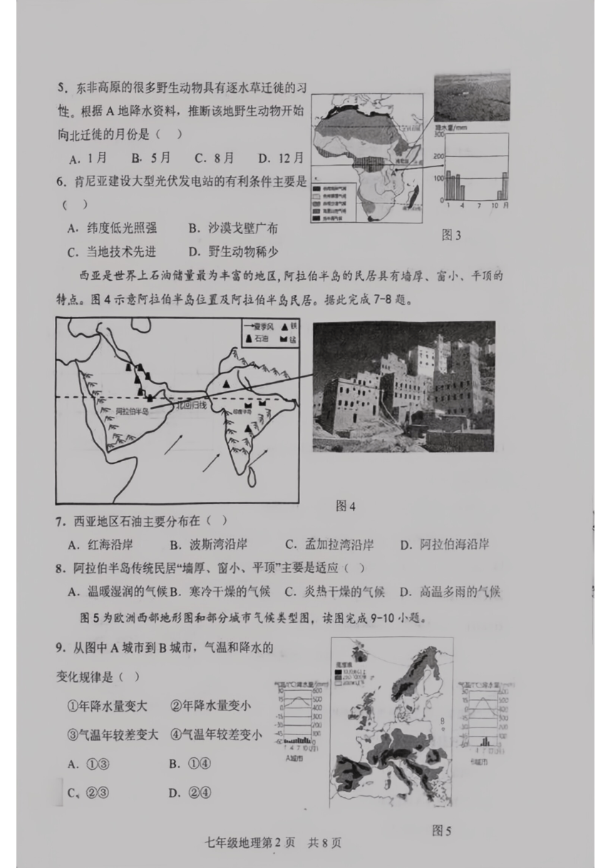 初中文理综