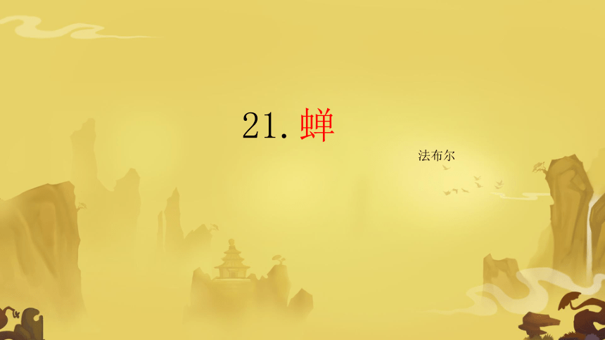 初中语文