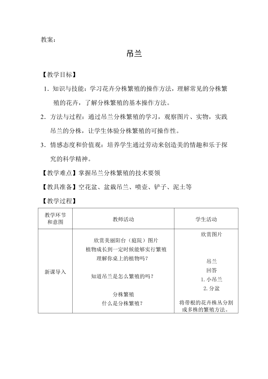 小学劳动