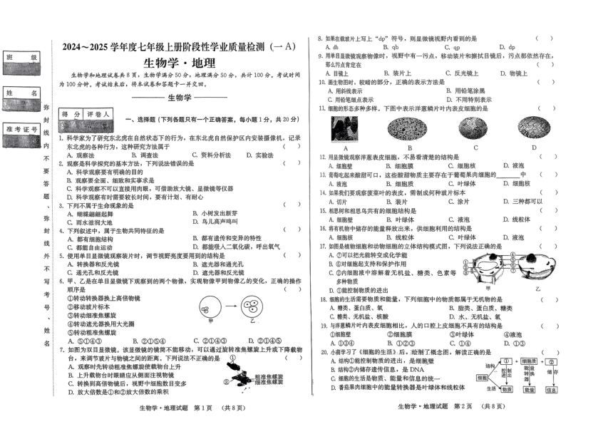 初中文理综