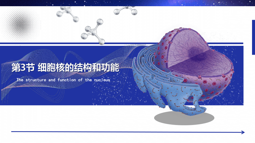 高中生物