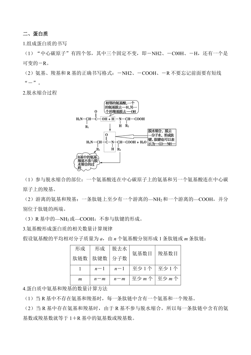 高中生物