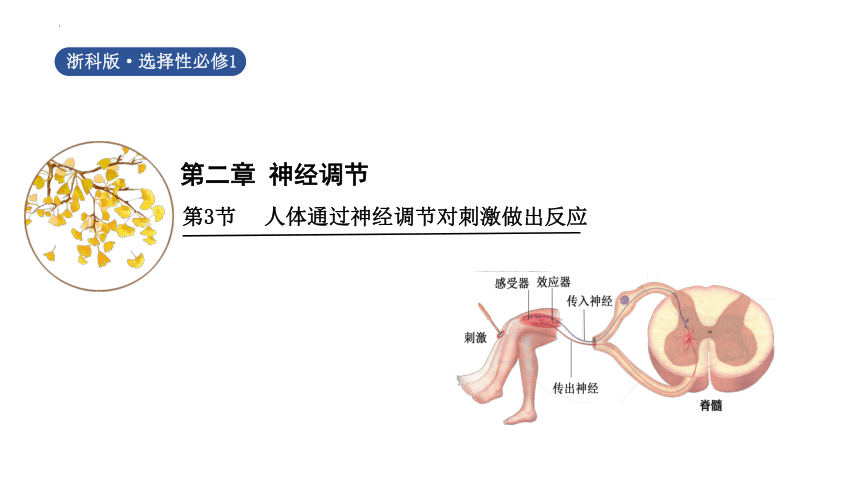 高中生物