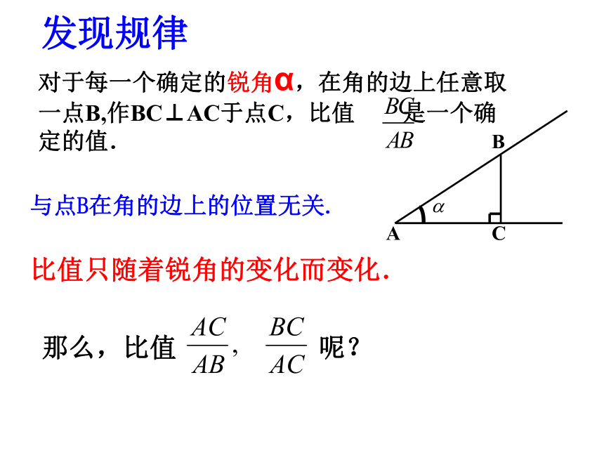 浙教版九年级下册 1.1 锐角三角函数 课件(共28张PPT)