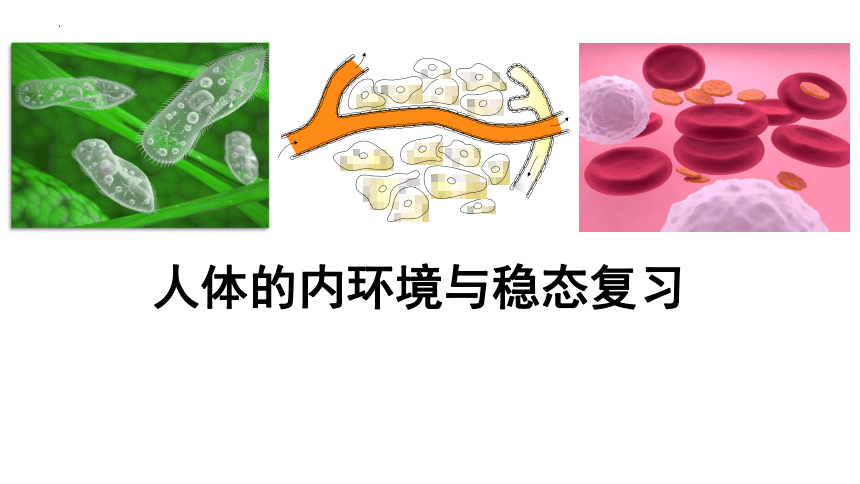 高中生物