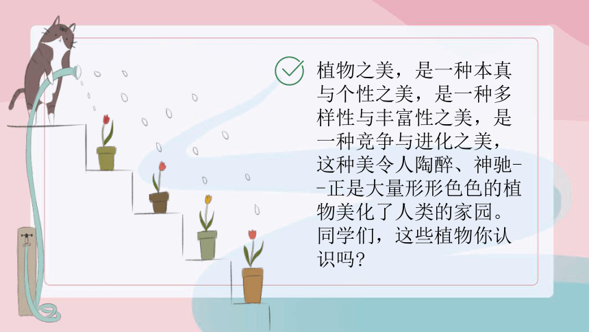 小学校本课程