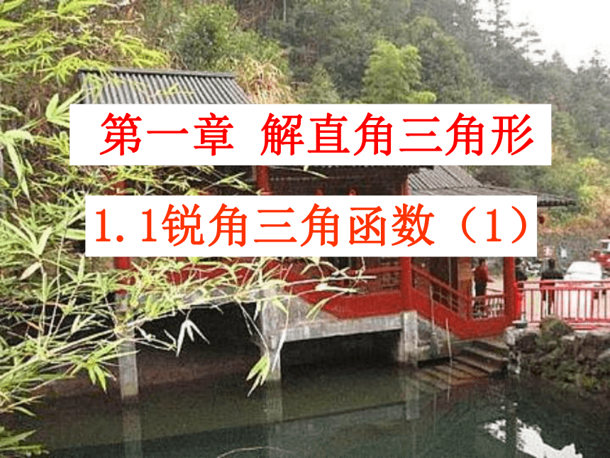 浙教版九年级下册 1.1 锐角三角函数 课件(共28张PPT)