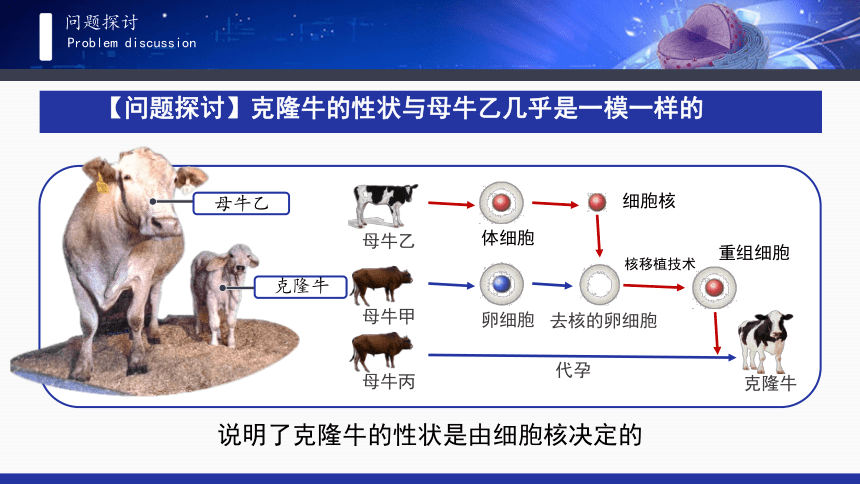 高中生物