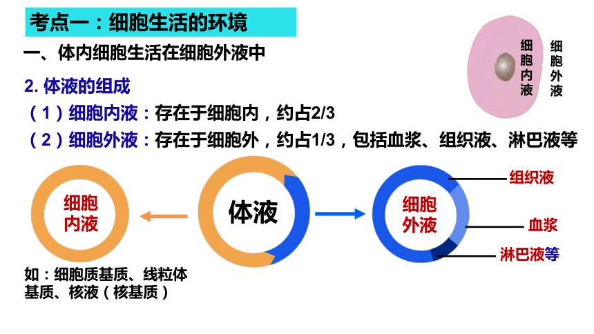 高中生物