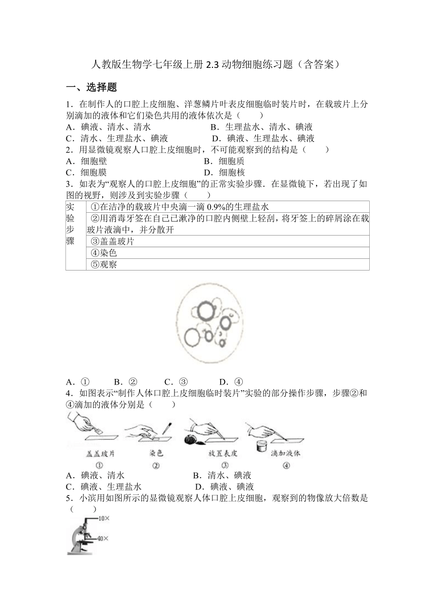 初中生物