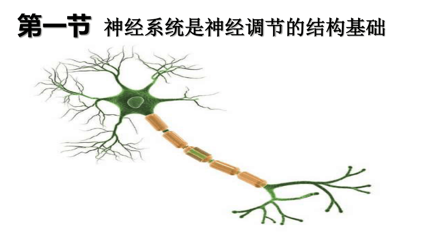 高中生物