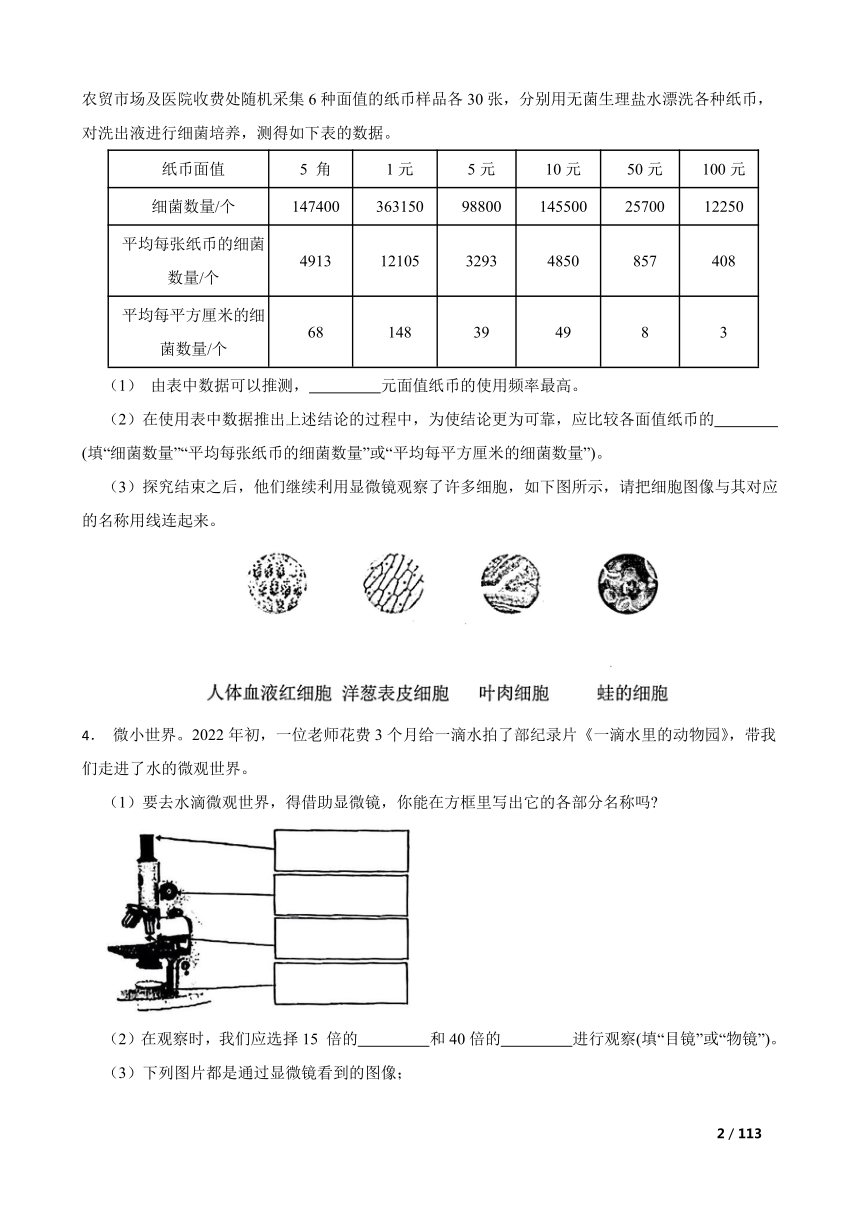 小学科学