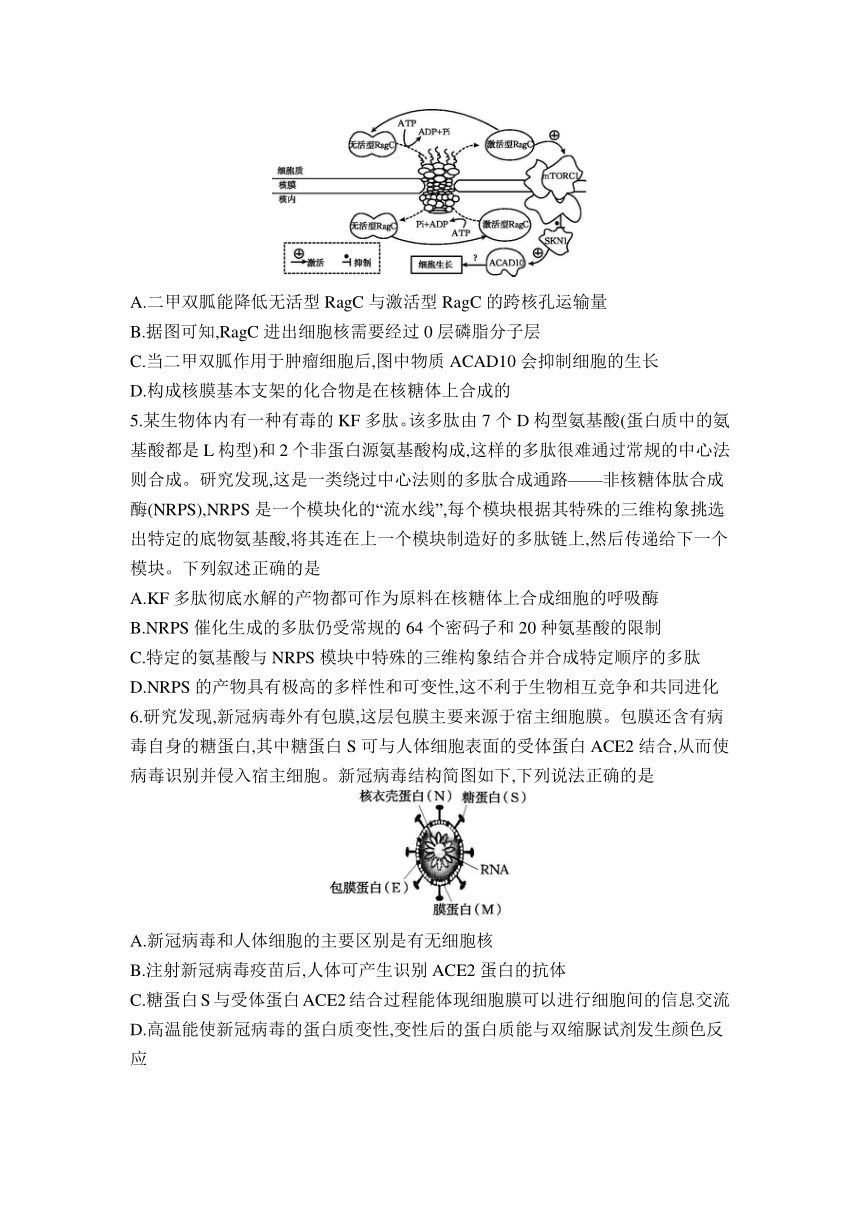 高中生物