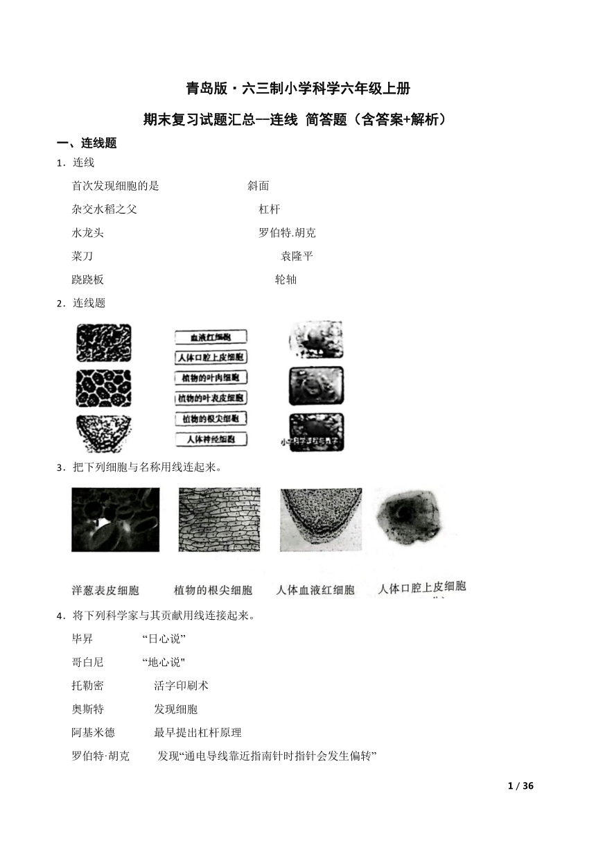 小学科学