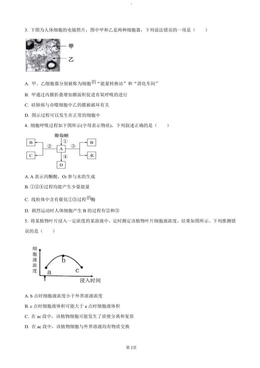 高中生物