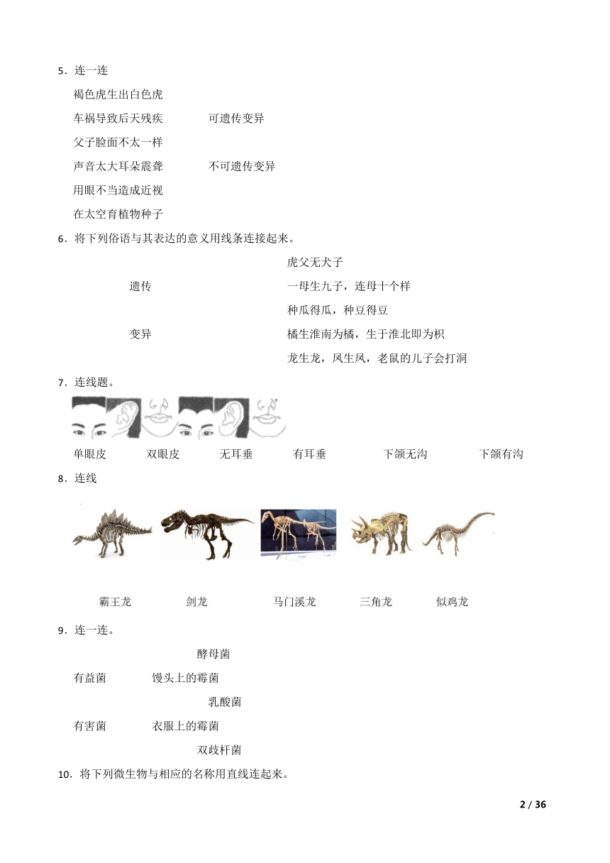 小学科学