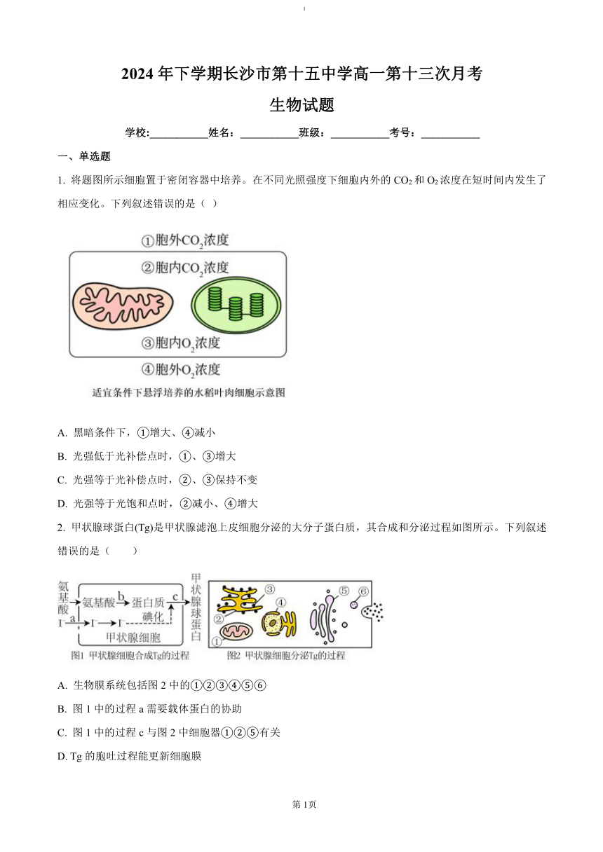 高中生物