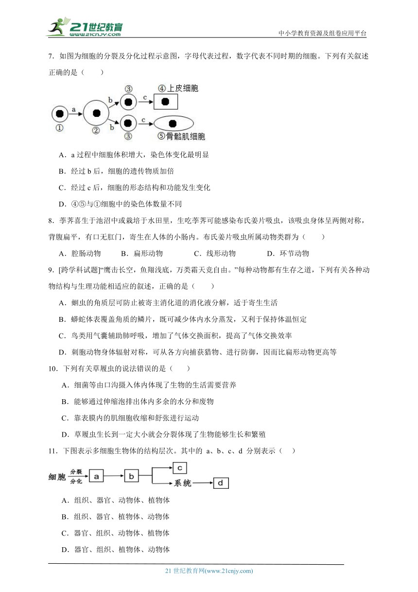 初中生物