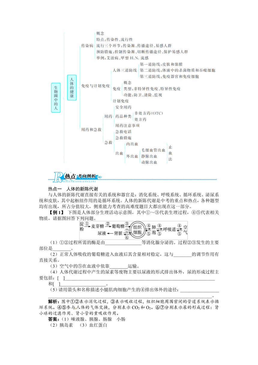 【2014备考 志鸿优化设计】2013版中考生物总复习（人教版 ）专题讲练：专题三　生物圈中的人（含规律总结）